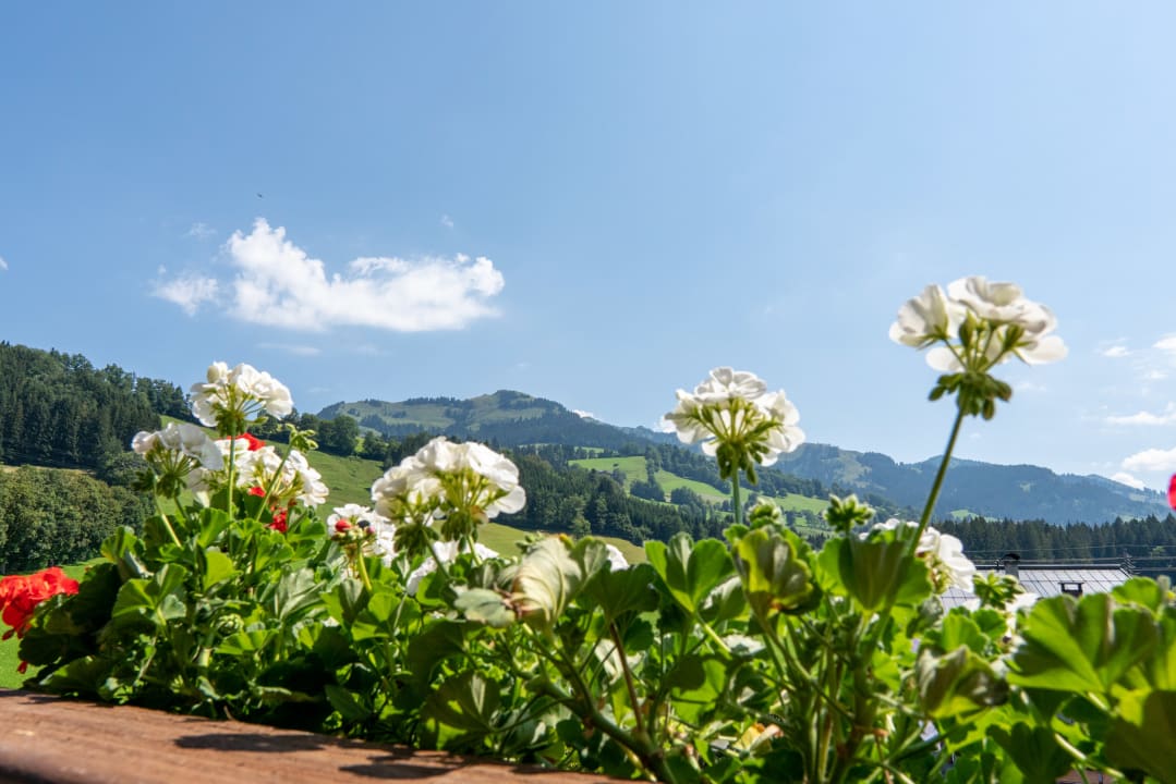 Ausblick Boutique Hotel Kitz Garni