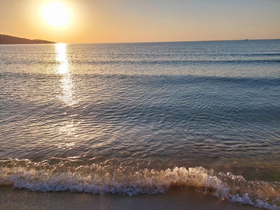 Strand Alexandra Golden Boutique - Adults only