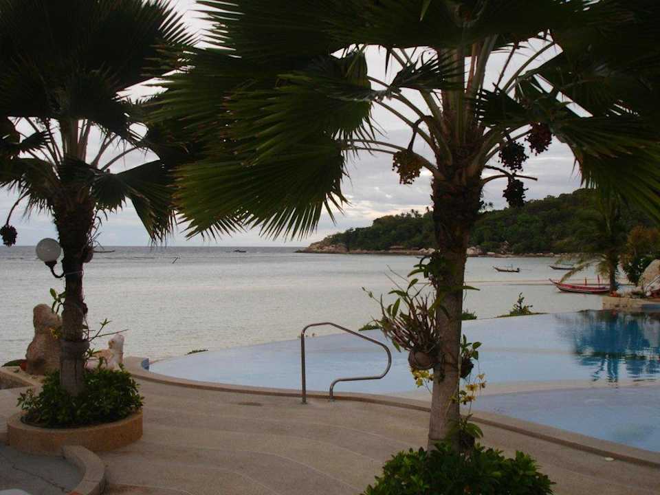 Blick vom Pool aufs Meer Hotel Koh Tao Resort