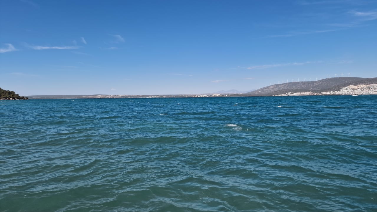 Strand Long Beach Club Nature