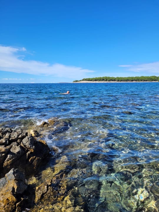 Außenansicht TUI BLUE Pioneer Beach