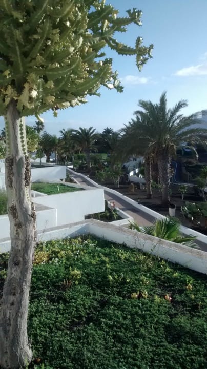 Blick von der Terrasse Hotel Floresta