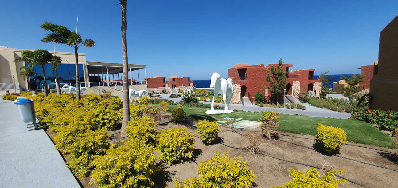 Außenansicht Pickalbatros Vita Resort - Portofino Marsa Alam