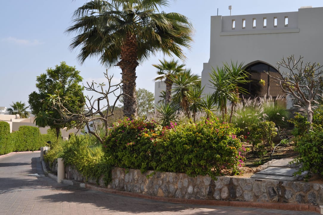 Einfach nur schön The Cove Rotana Resort