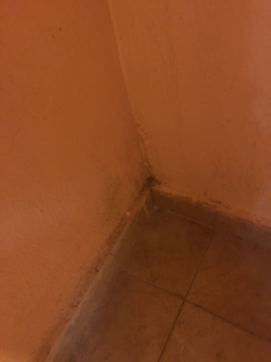 Wieder Schimmel  Sol Hicacos Varadero