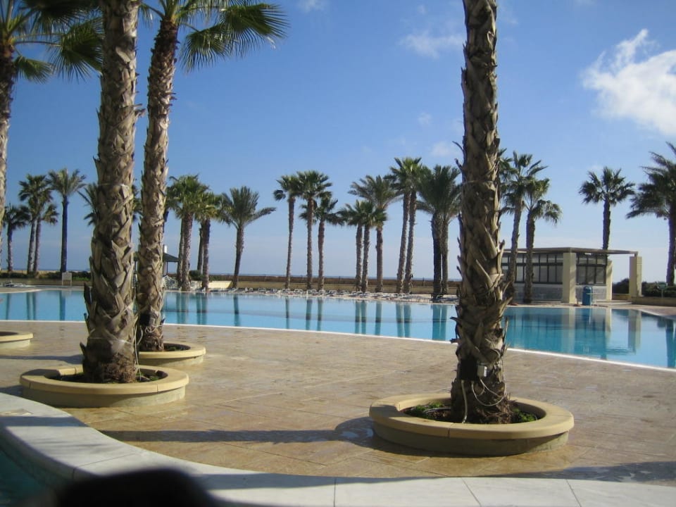 Pool Hilton Malta