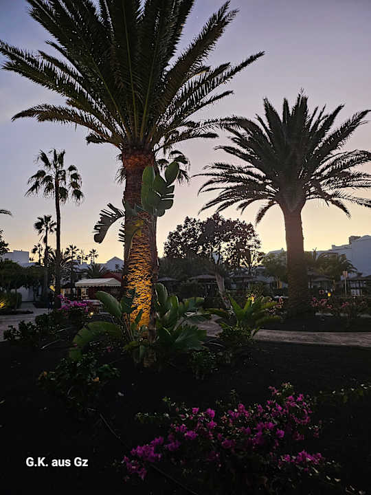 Außenansicht allsun App.-Hotel Albatros