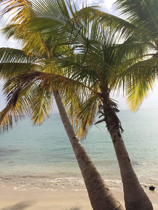 Links vom Strand Bahia Principe Grand El Portillo