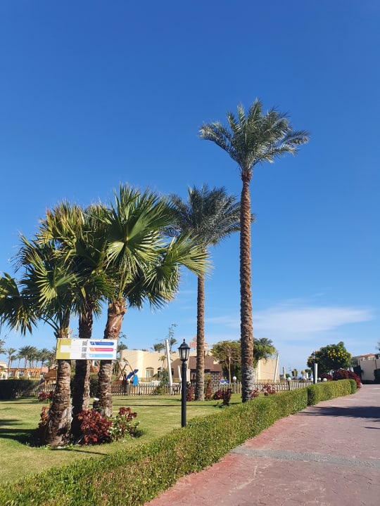 Gartenanlage Cleopatra Luxury Resort Makadi Bay