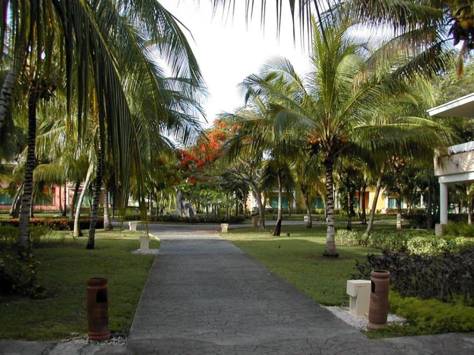 Hotel grounds Paradisus Rio de Oro Resort & Spa - Adults only