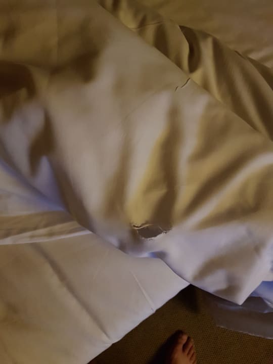 Zimmer Jaz Makadi Oasis Resort