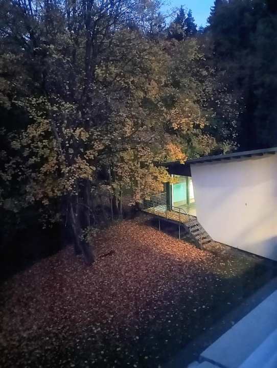 Außenansicht Waldhotel Berghof