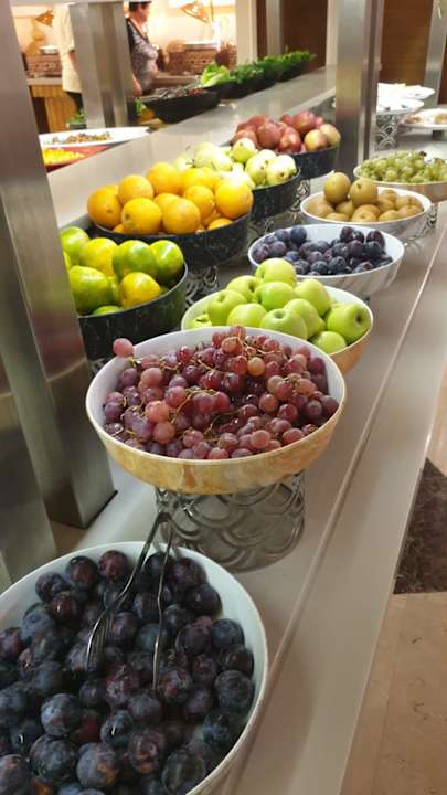 Gastro Castival Hotel