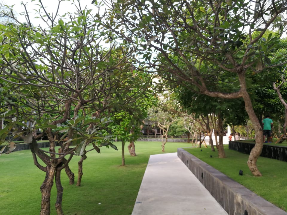 Gartenanlage The Anvaya Beach Resorts Bali