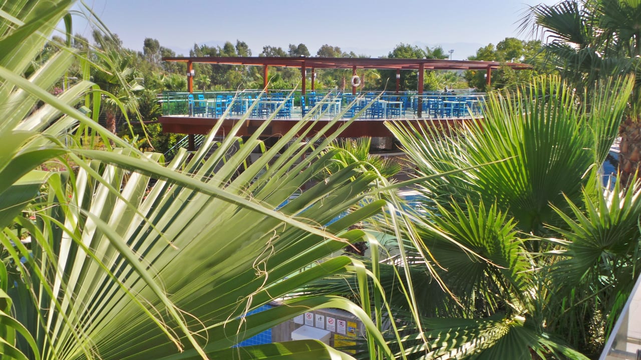 Gartenanlage Dream World Aqua Hotel