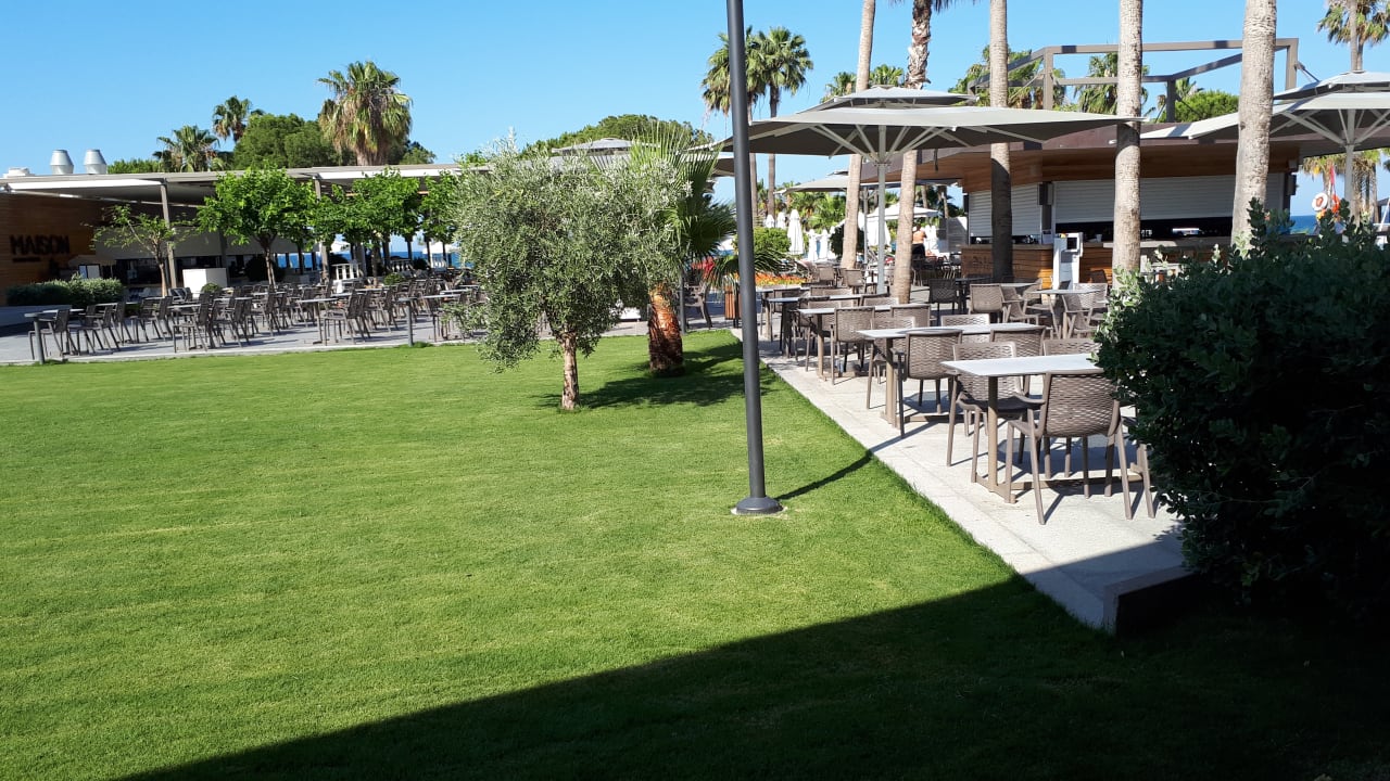 Gastro Acanthus Cennet Barut Collection