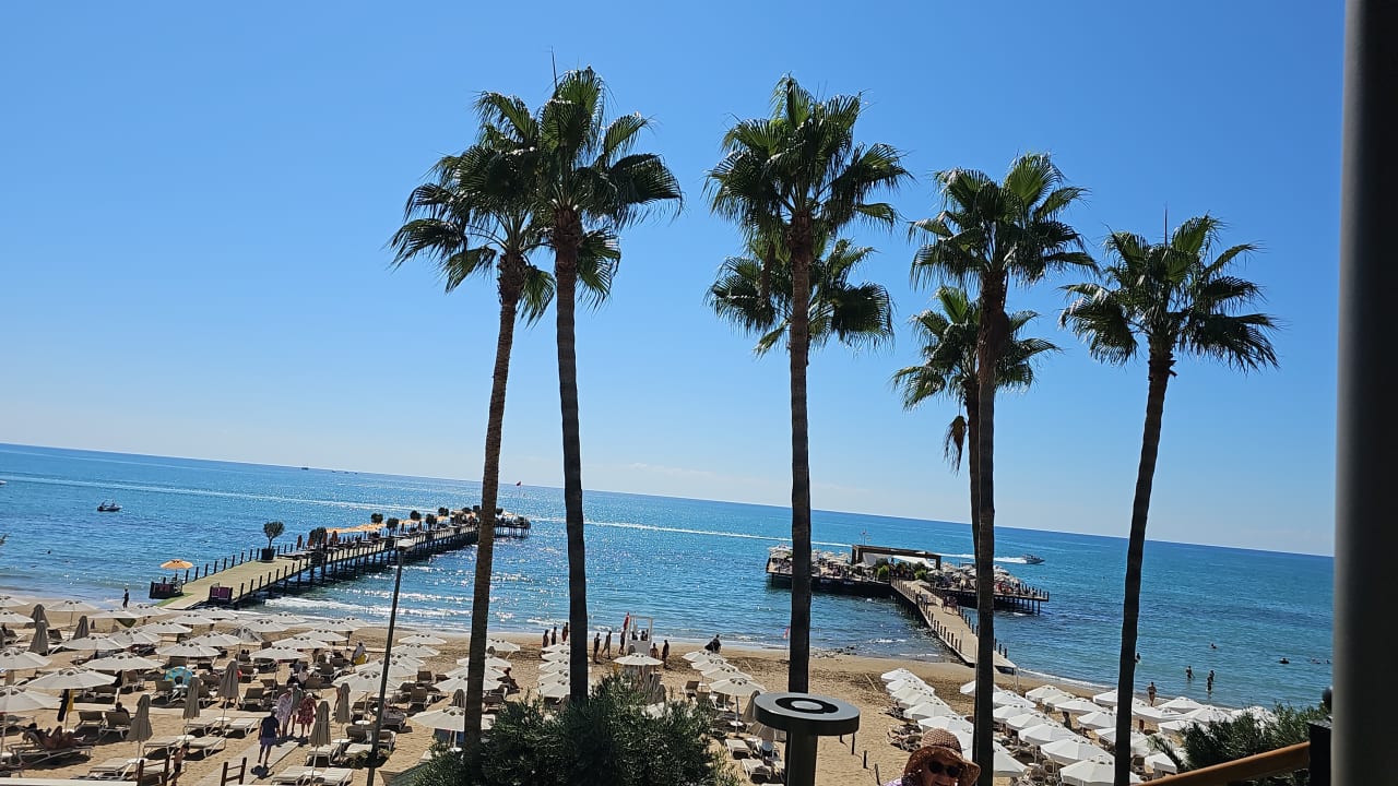 Ausblick Arum Barut Collection