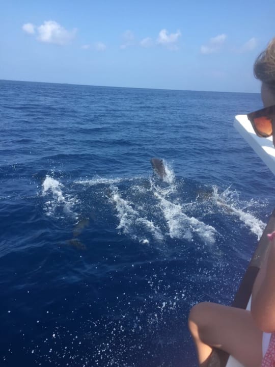 Ausflug Delphine Kandima Maldives