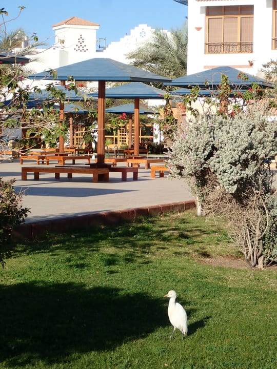 Gartenanlage Lahami Bay Beach Resort