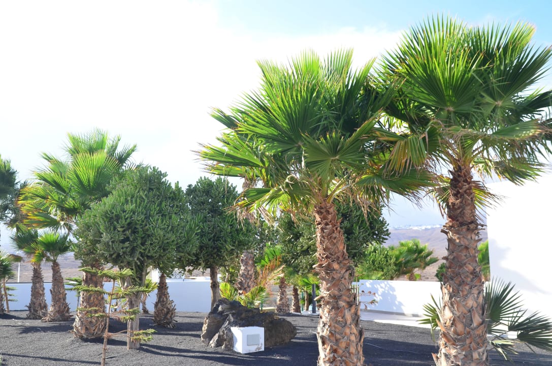 Vor der Rezeption, Innenbereich Sentido Aequora Lanzarote Suite