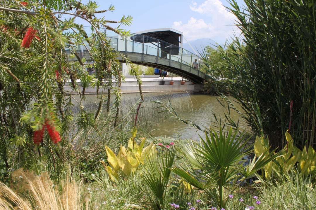 Teich mit Schildkröten Jiva Beach Resort