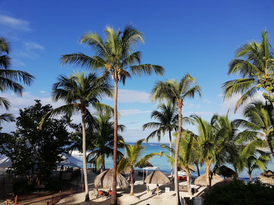 Ausblick Hotel Viva Dominicus Palace by Wyndham-All Inclusive Resort