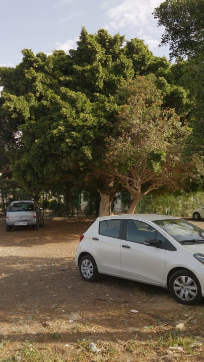 Parkplatz der Anlage Bungalows Cordial Sandy Golf