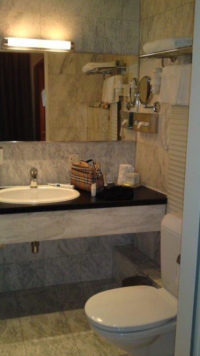 Bad Holiday Inn Wien - City