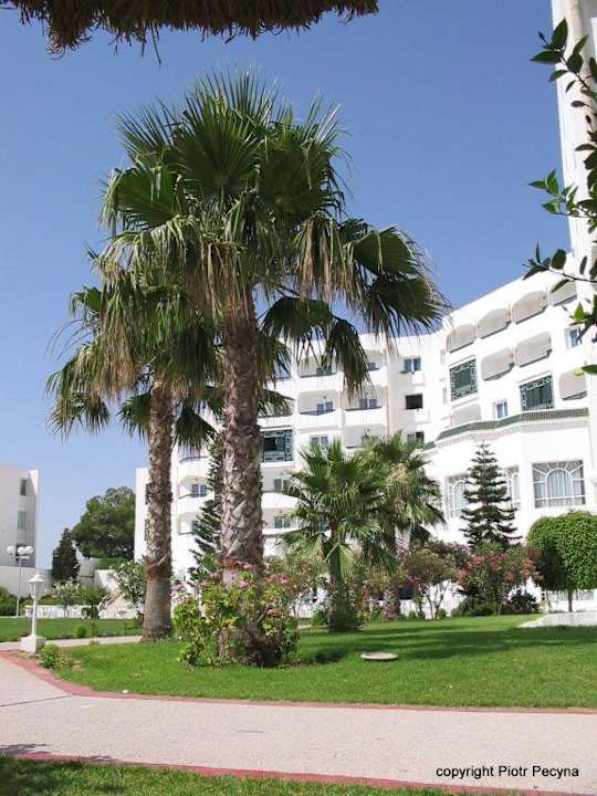 Budynek hotelowy Hotel Jinene
