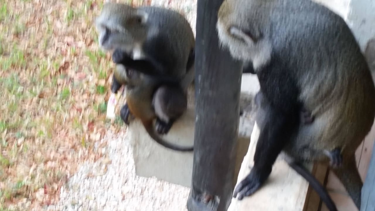 Hotel Baobab Beach Resort Baobab Beach Resort & Spa