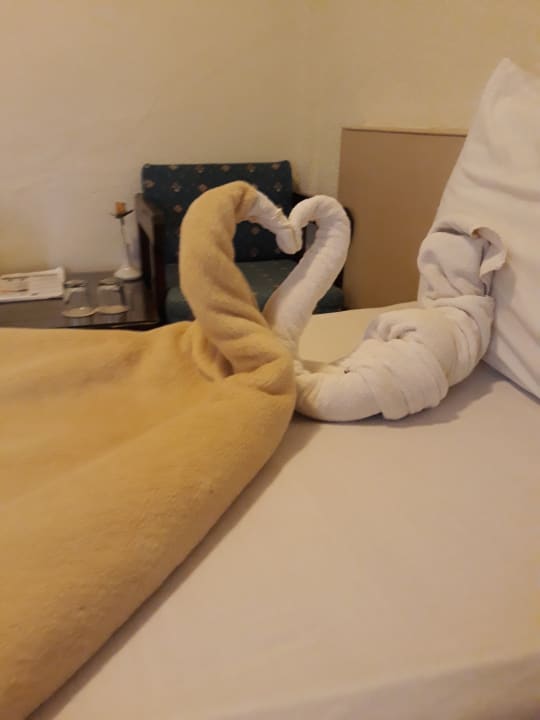 Zimmer Eagles Paradise Abu Soma