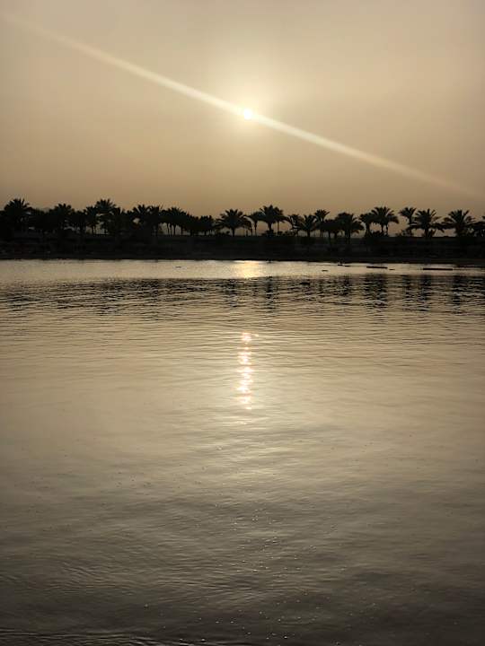 Ausblick Desert Rose