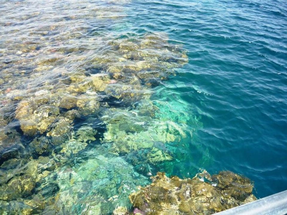 Meer TUI MAGIC LIFE Redsina Sharm El Sheikh