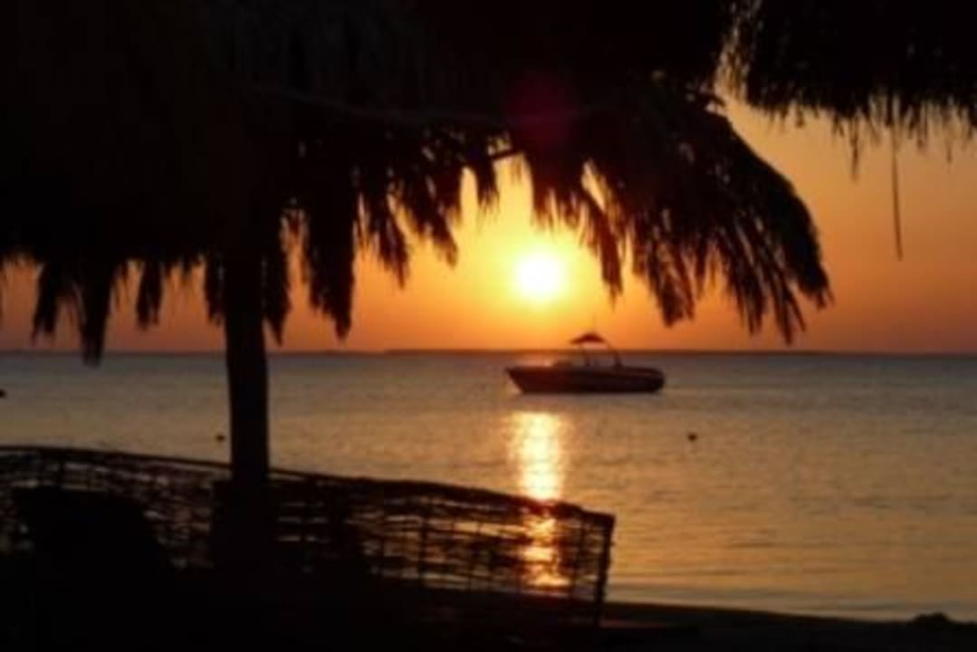 Sonnenaufgang, so schön Sentido Caribbean World Soma Bay