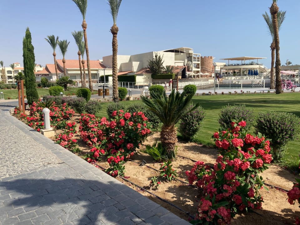 Pool Pickalbatros Dana Beach Resort - Hurghada