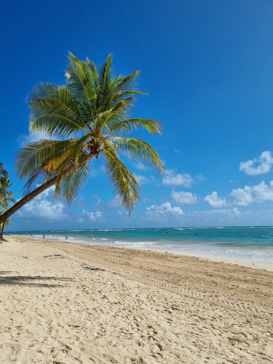 Strand Punta Cana Princess All Suites Resort & Spa