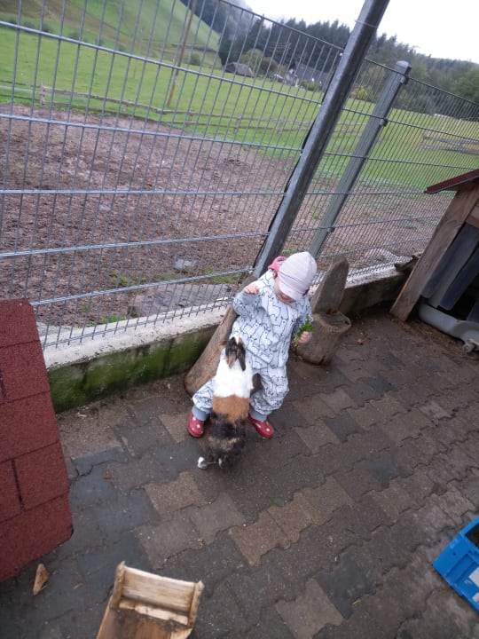 Sonstiges Ferienwohnungen Grub-Daniel-Hof