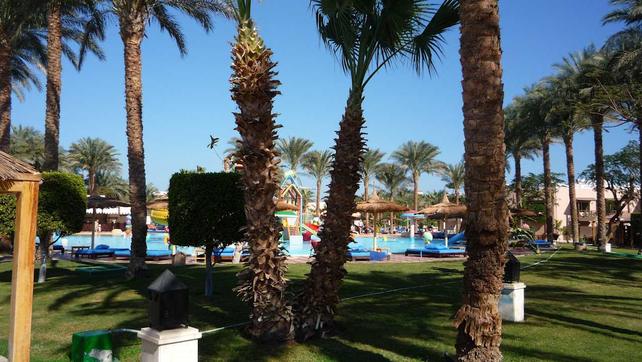 Die Poollandschaft Beach Albatros Resort