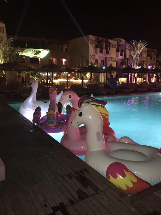 Sport & Freizeit Cook's Club El Gouna