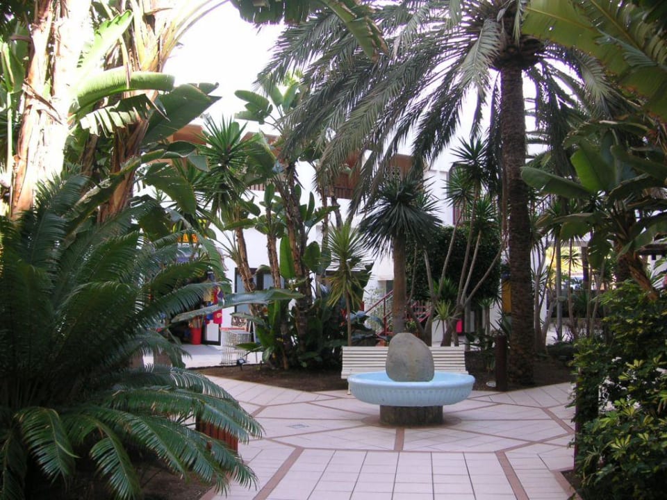 Grünanlage vor dem Haupteingang Corallium Beach by Lopesan Hotels - Adults only