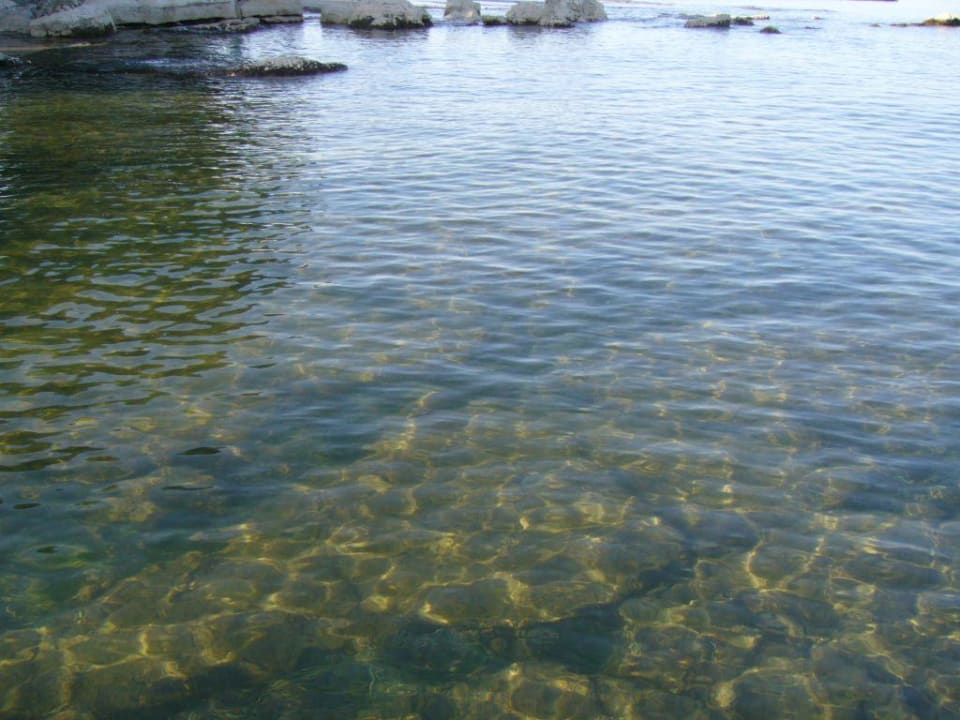 Blick auf´s Meer Hotel Umag Plava Laguna