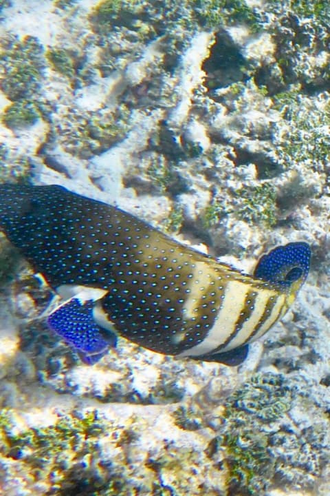 Sport & Freizeit Thulhagiri Island Resort