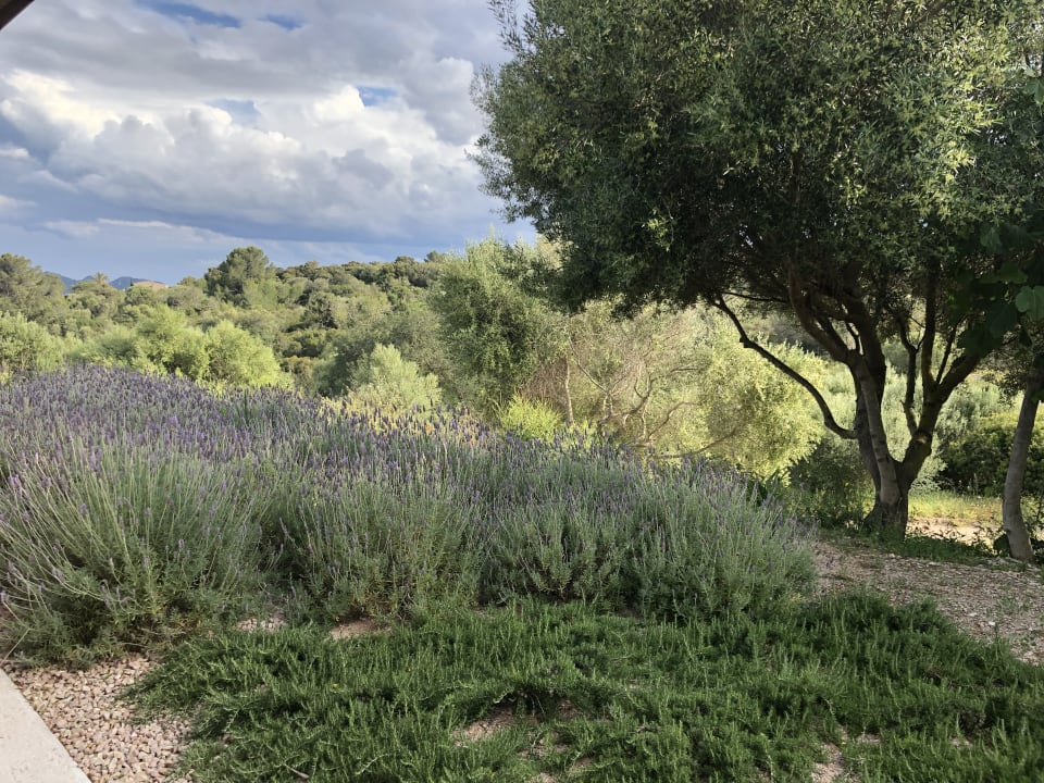Pool Villa 3 - Carrossa Hotel Spa Villas