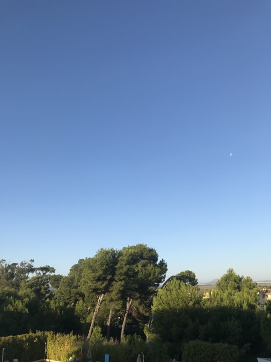 Ausblick JS Alcudi Mar