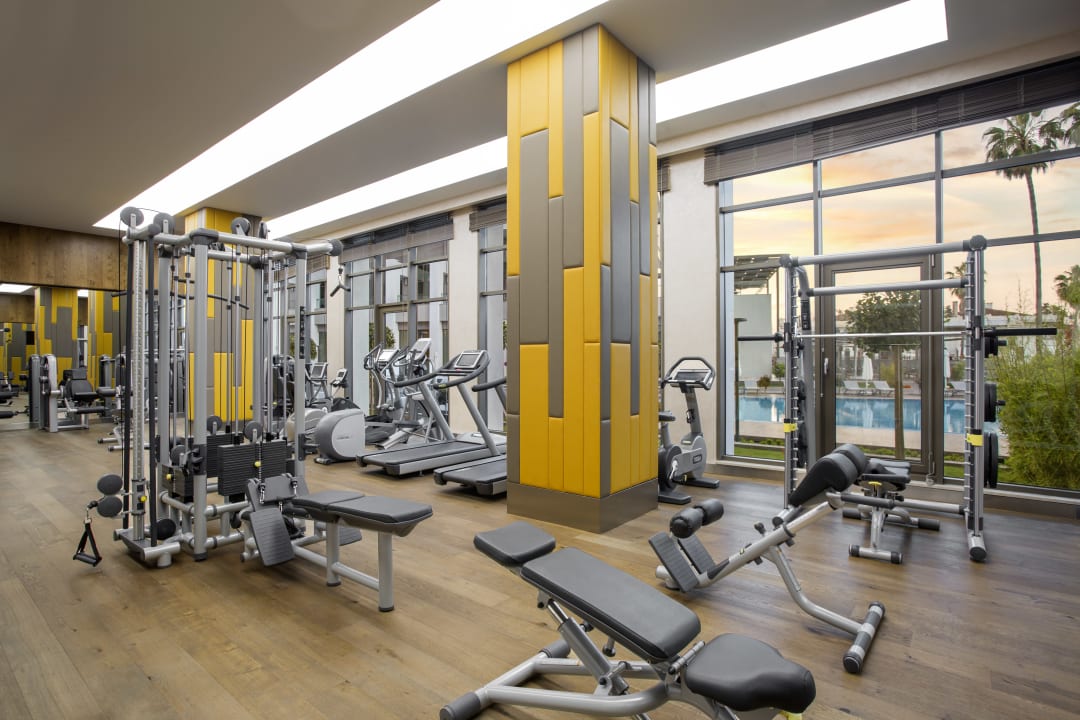Sport & Freizeit Acanthus Cennet Barut Collection