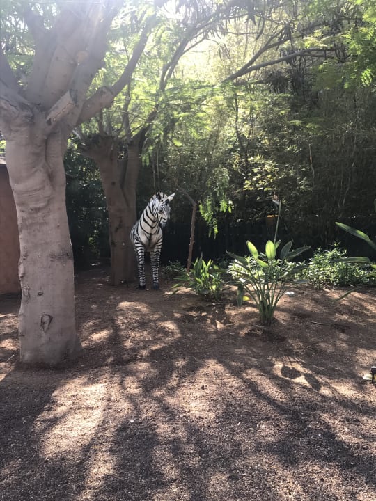Gartenanlage Lopesan Baobab Resort