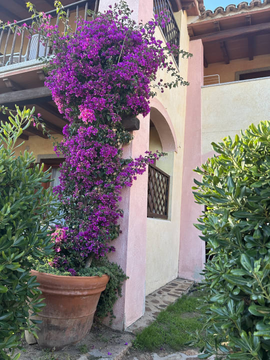 Gartenanlage Hotel Resort & Spa Baia Caddinas