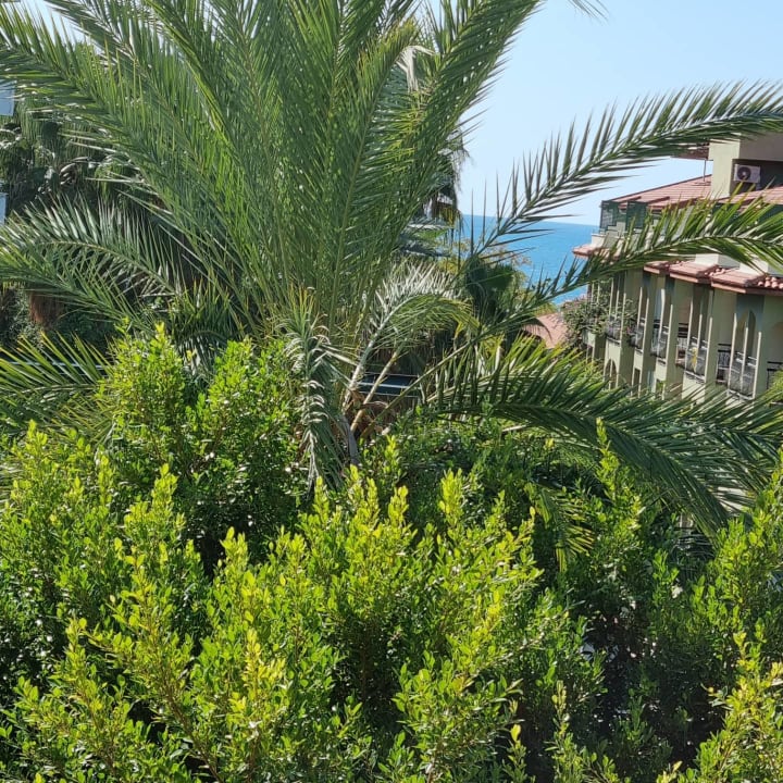 Außenansicht Hotel Gardenia Beach