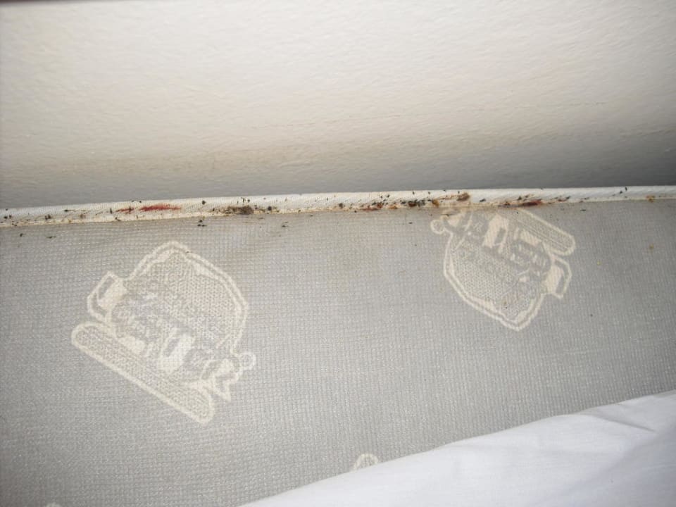 Bettwanzen Catalonia Playa Maroma