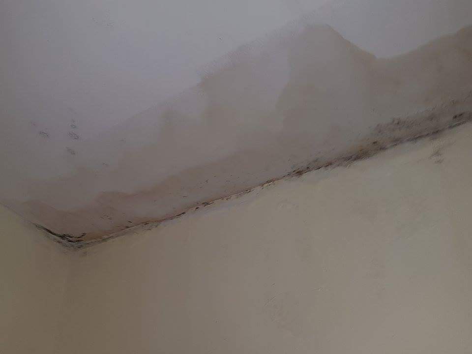 Restaurant TRS Turquesa Hotel - Adults only